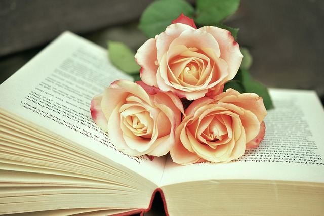 Buy a Book, Help Texas Flood Victims NOW!